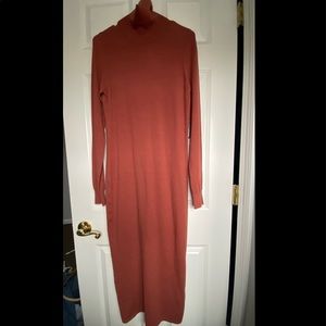 EXPRESS turtleneck sweater dress